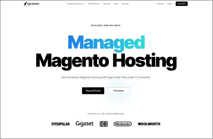 Top 12 Factors to Consider When Choosing the Best Magento Hosting