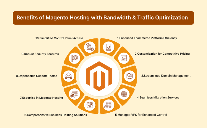 Magento Hosting Plans for Traffic