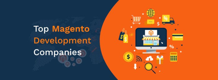 Top 20+ Magento Development Companies in 2025